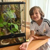 Ein Haustier, das sich als Pflanze tarnt