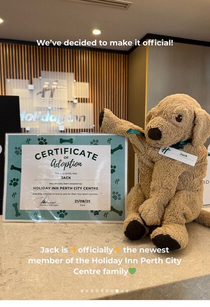 Plüschhund Jack wurde in die „Holiday-Inn-Familie“ aufgenommen.⇒AFP