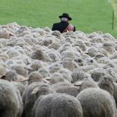 Bilder des Tages