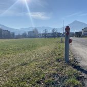 Planungspause im Forach