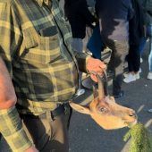 Jagdfrevler sorgen für Unmut