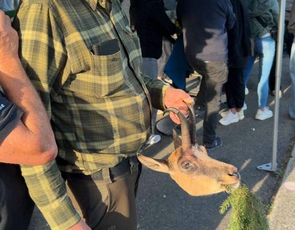 Bei einem Fußballspiel in Bezau tauchte ein Jäger mit einem abgetrennten, blutigen Kopf eines Gamsbocks auf.