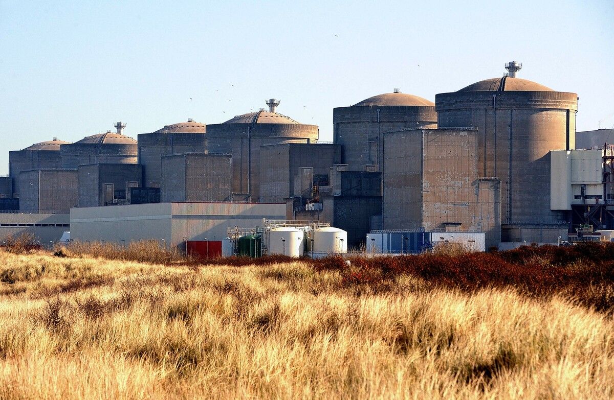 Bereits im August hatten Quallen das AKW in Gravelines außer Gefecht gesetzt. ⇒ afp