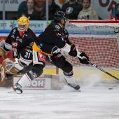 Pioneers legen Fehlstart hin