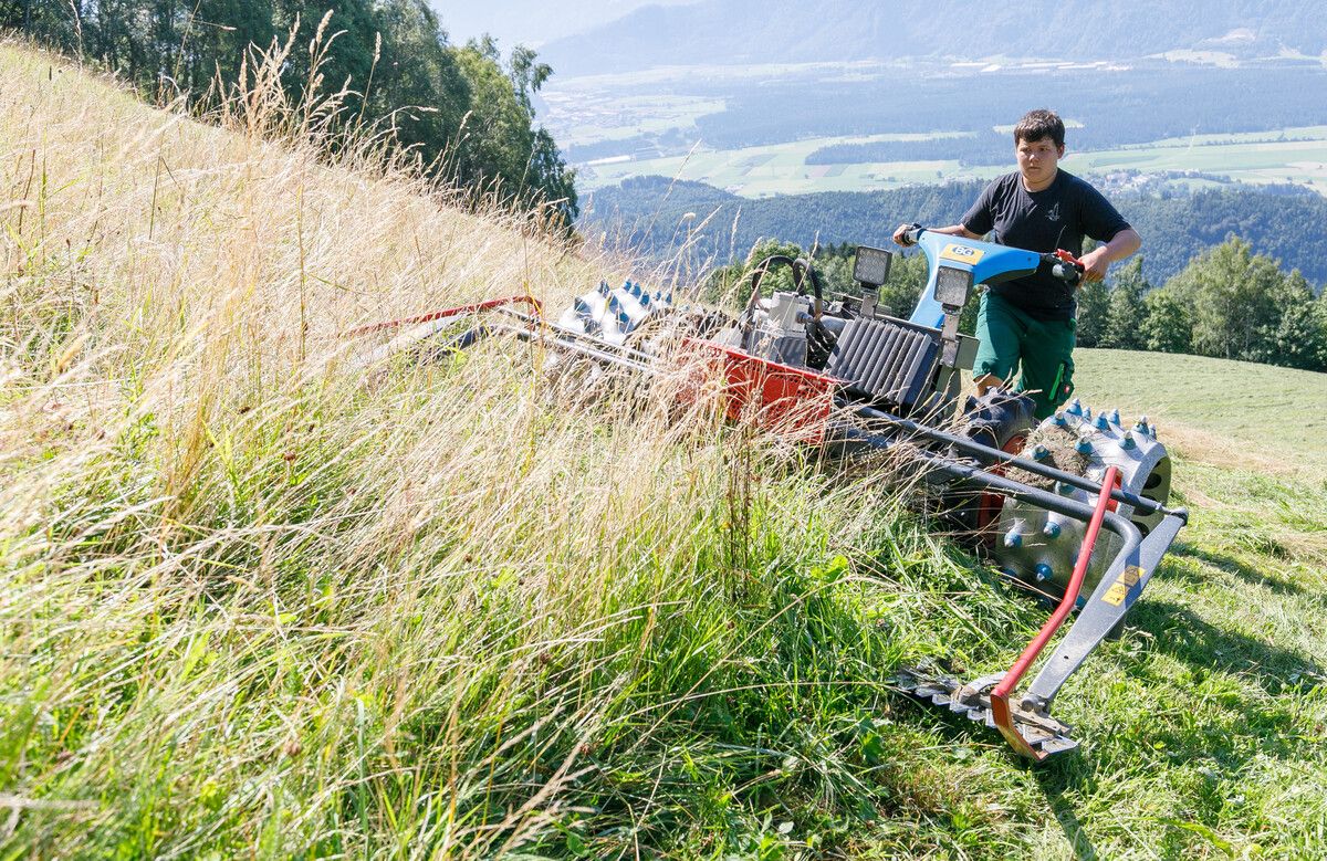Bergbauern haben höhere Kosten. Das soll durch Zulagen für Erschwernisgruppen ausgeglichen werden.⇒Hofmeister