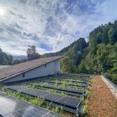 Dachbegrünung und Strom aus Bremskraft