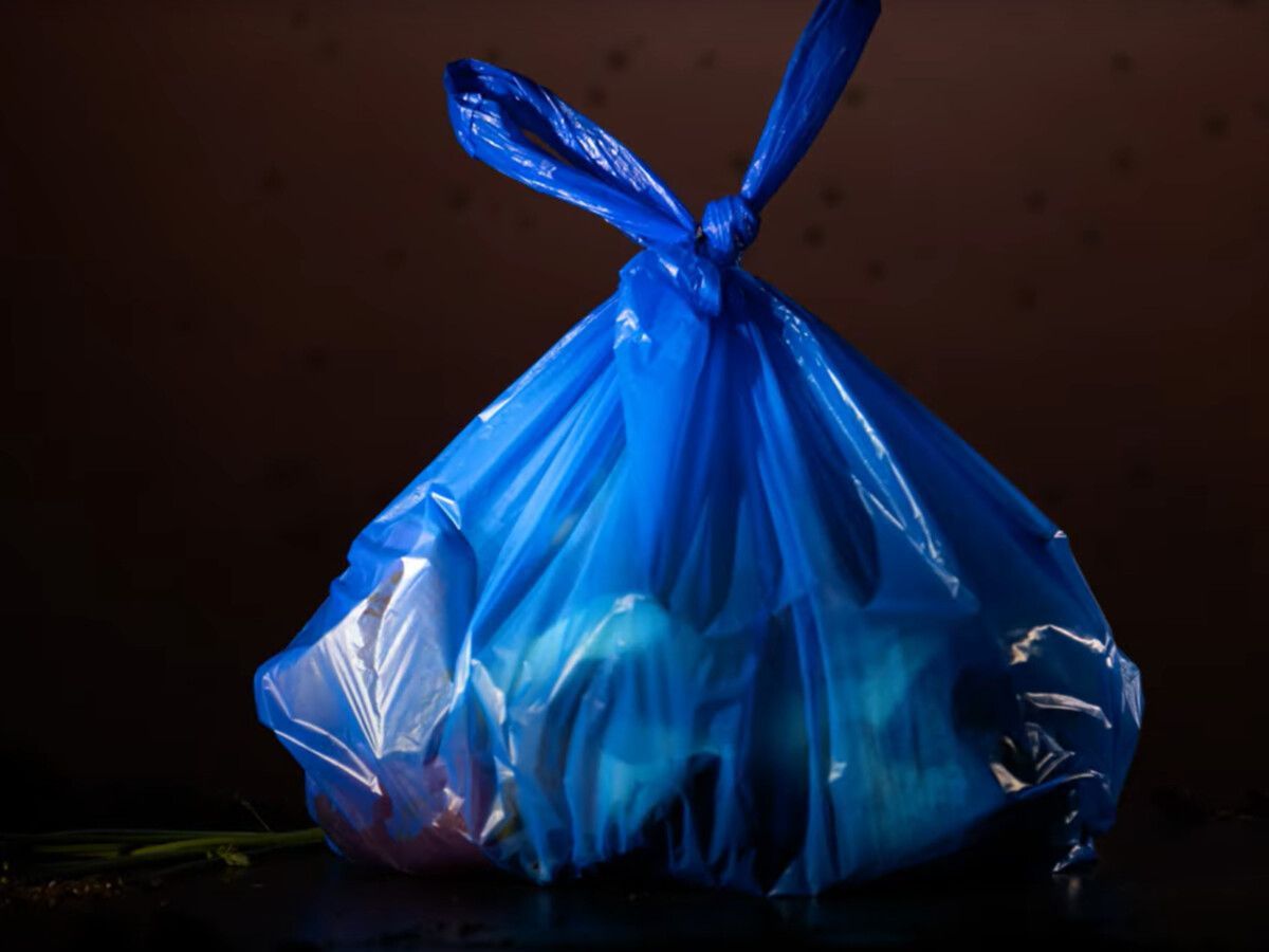 Der Abschluss des Animationsfilms: Ein Plastiksack bringt die Obst- und Gemüsefeier zum Stillstand. umweltv