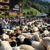 Älplertradition legt eine Pause ein