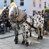 Landeserntedankfest in Bregenz