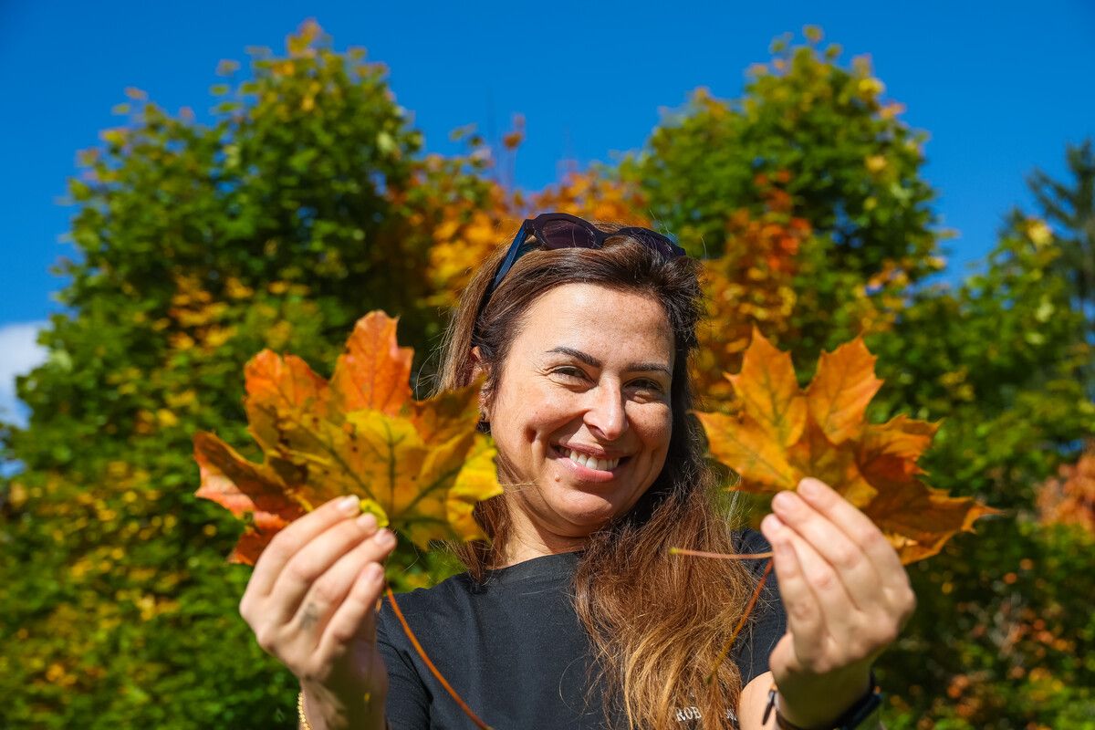 Die 44-jährige Halle zeigt die ersten Vorboten des Herbstes. Dieser stellt sich diese Woche mit schlechtem Wetter ein. ⇒VN/Steurer