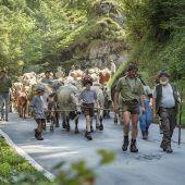 Alpabtrieb Großes Fest am Waldbad Enz
