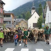 Noch einmal „Vorsicht Viehtrieb!“