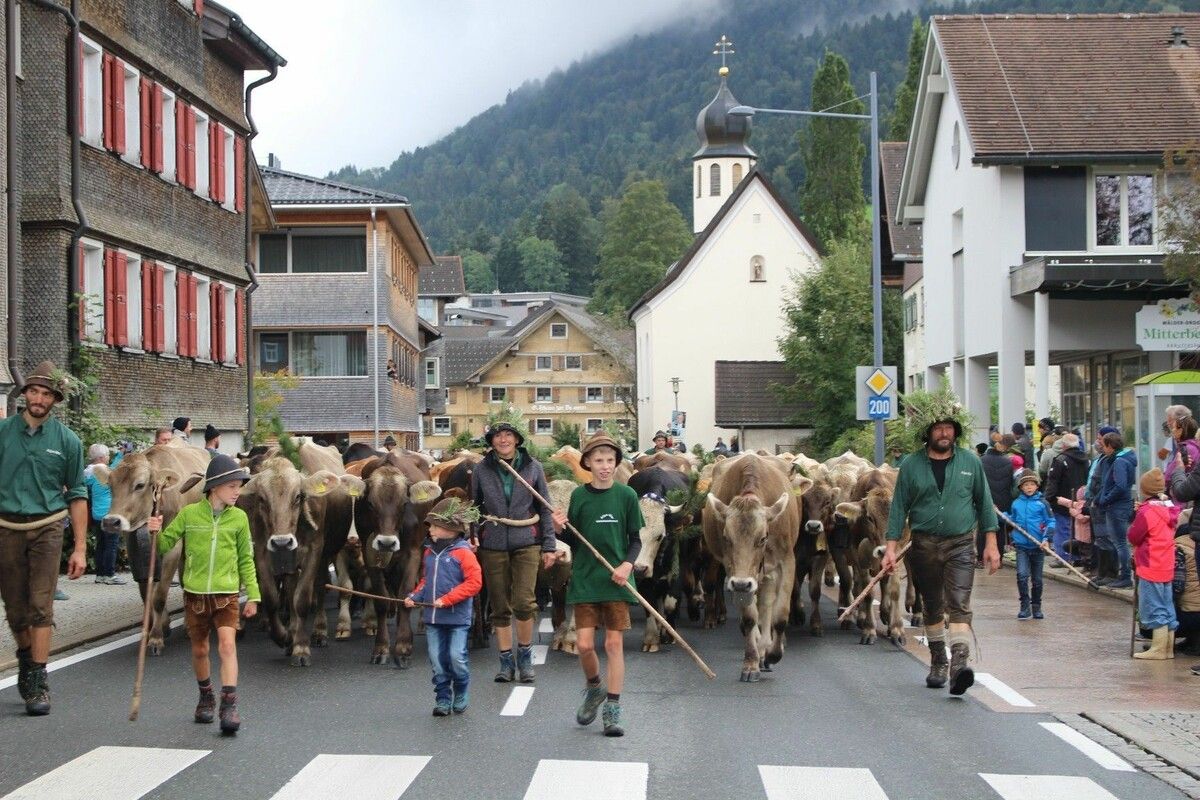 Die Alpe Ifer ist eine der größten Alpen des Landes. ⇒STP