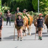 Fraxner Alpsaison geht zu Ende