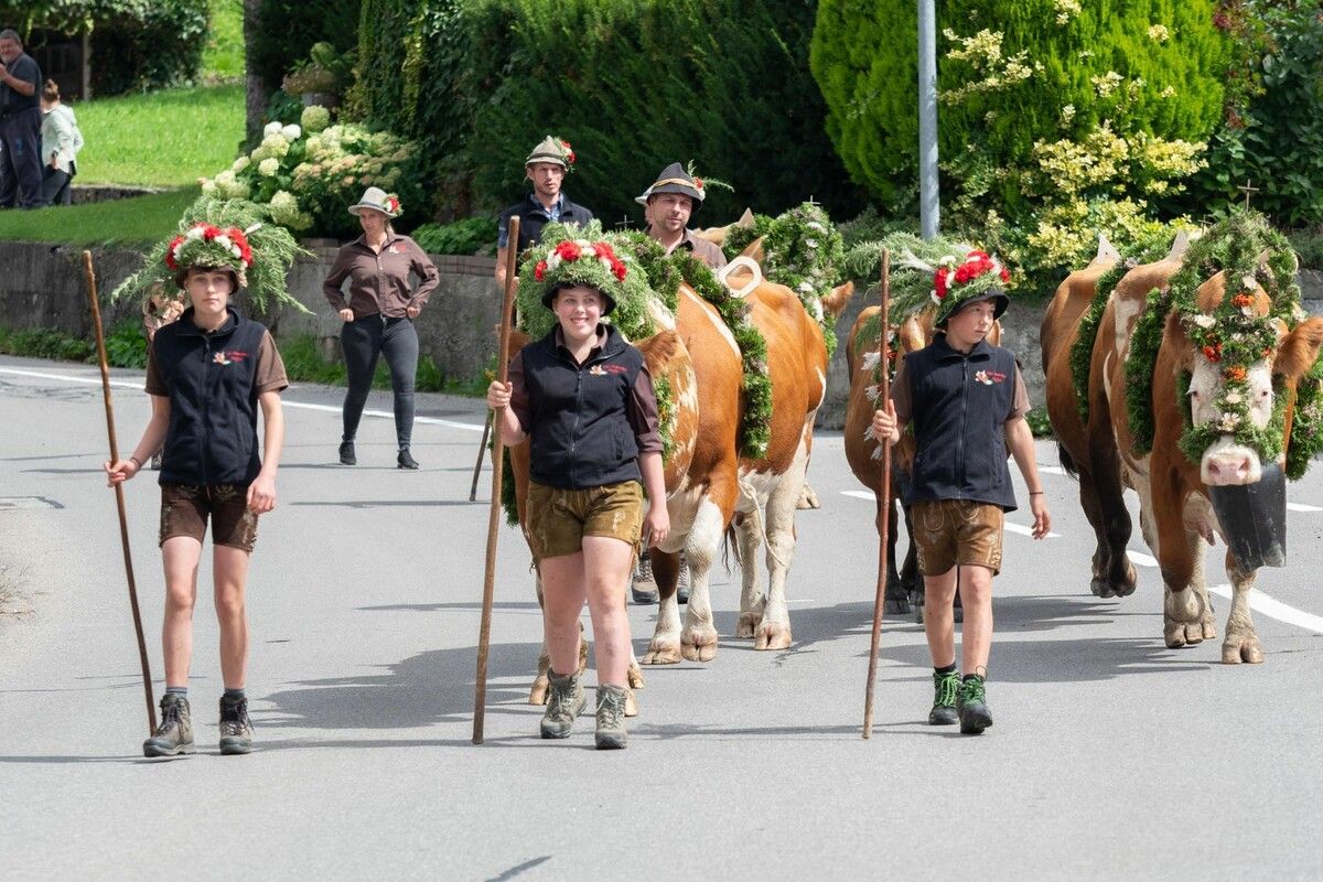 Die Junghirten Sofia, Kathrin und Lukas trieben das Vieh von der Alpe Maiensäss nach Fraxern. ⇒ALO