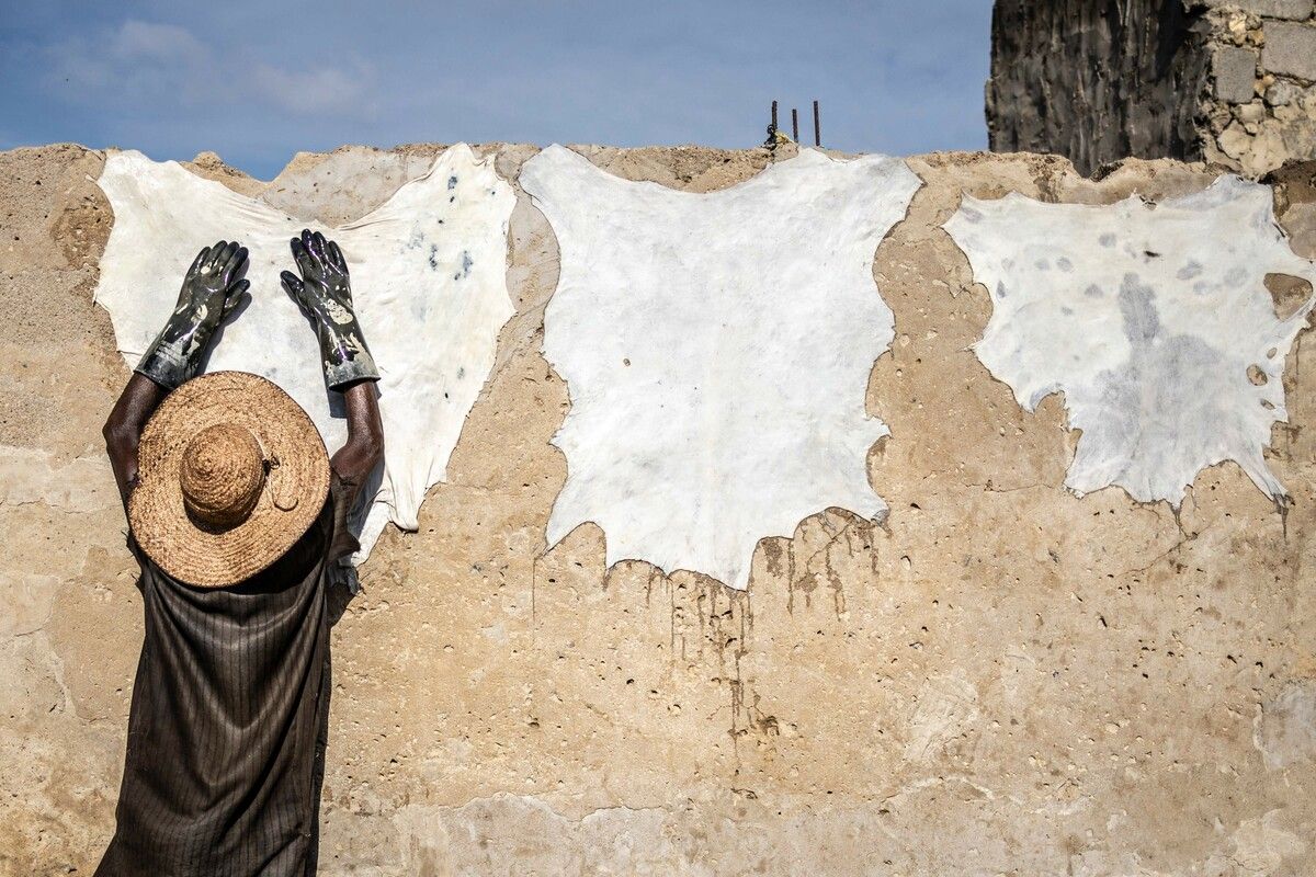Ein Gerber trocknet Häute an einer Wand in der Gerberei von Majema in Kano. Trotz Export von fast 90 % der Häute verschwindet das Label „Made in Nigeria“, doch heimische Designer kämpfen um eine eigene Lederidentität.