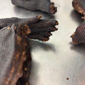 Mann mit Waranfleisch am Flughafen München erwischt