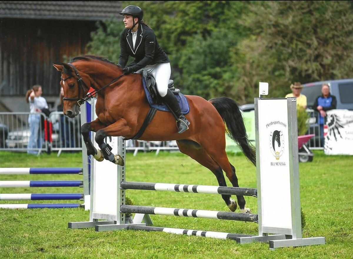 Elegant wurden die Standartspringprüfungen gemeistert. ⇒HAB