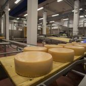 Neben Käse konzentriert sich Vorarlberg Milch auf den italienischen Markt. »D1