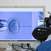 Verfassungsgerichtshof könnte Weg zu Social-Egg-Freezing ebnen. »A8