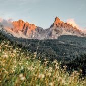 Sehnsucht nach Südtirol