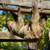 Kleiner Babyboom
