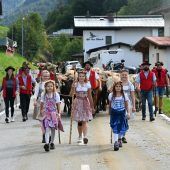 Alpabtrieb im Klostertal