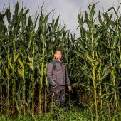 Maispflanzen machen Menschen klein