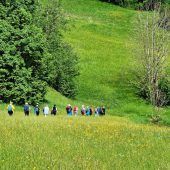Leichte Wanderung