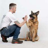 Ein verpflichtender Kurs für alle Hundehalter