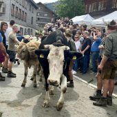Alpabtriebe und Markttag in Schwarzenberg