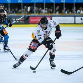 Pioneers-Kampfgeist reichte  bei den Black Wings nicht aus