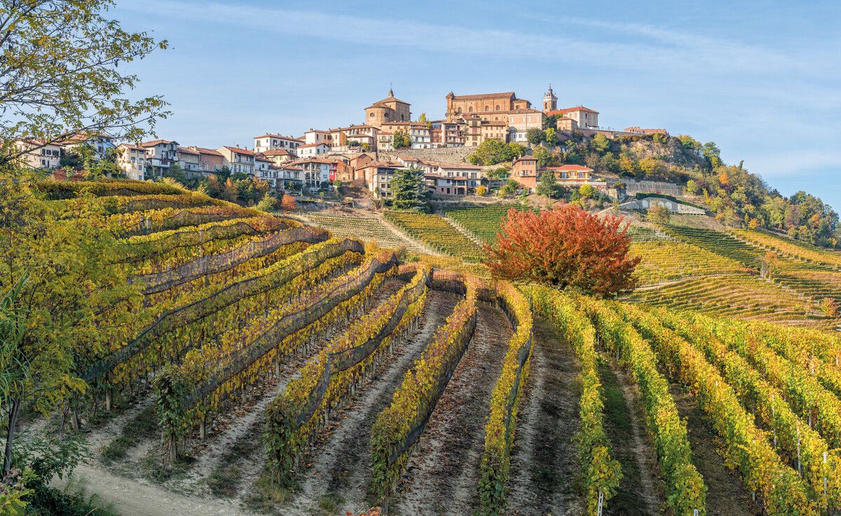 La Morra liegt auf einem der höchsten Punkte der Barolo-Zone. Von hier reicht der Blick über ein Meer aus Reben und Hügeln.