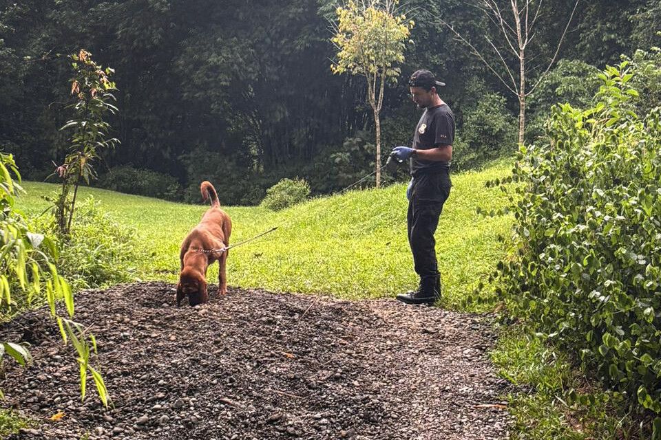 Polizeihund im Einsatz auf dem Finca-Gelände.⇒AFP