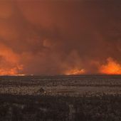 Nationalpark in Flammen