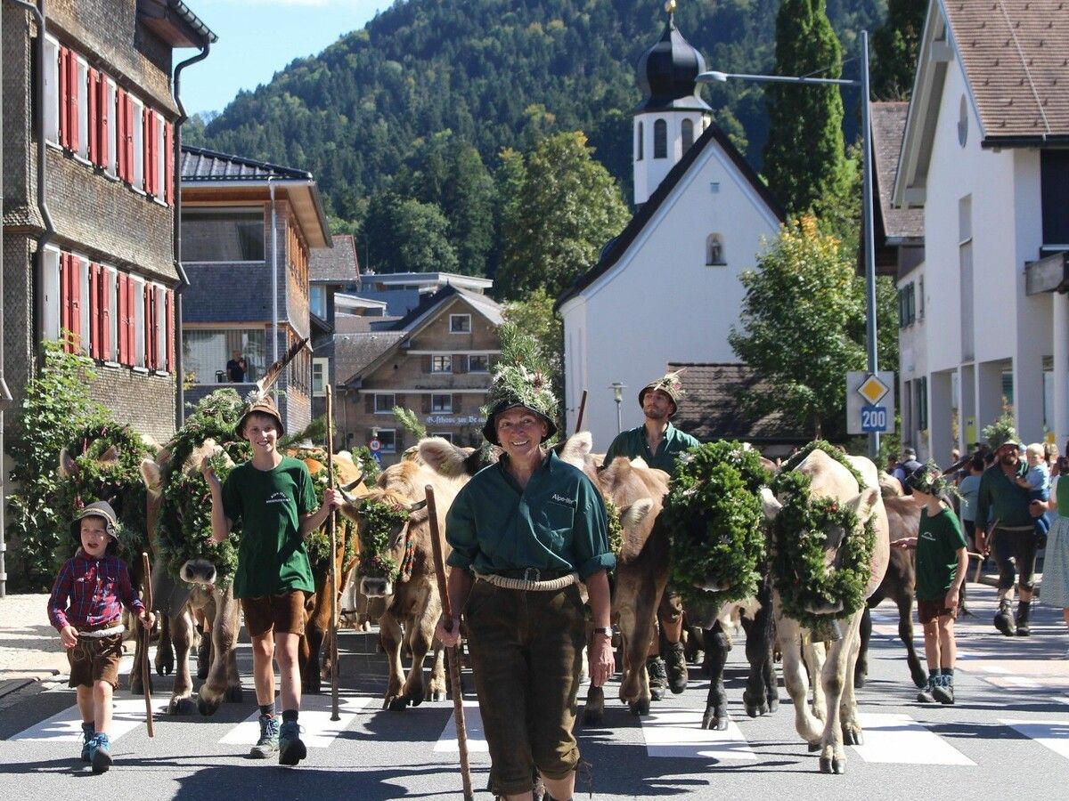Stolz und glücklich marschiert Maria Moosbrugger an der Spitze der Ifer-Herde, deren Leittiere wieder den Mojen tragen. ⇒STP