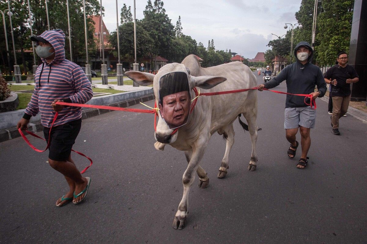 Studenten führen in Yogyakarta eine Kuh mit einer Maske von Präsident Prabowo Subianto bei einem Protest gegen dessen Rede und das umstrittene Schulspeisungsprogramm.