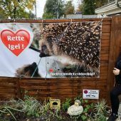 Igel fanden neues Quartier in Lochau
