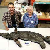 Neue Meeressaurier-Art entdeckt