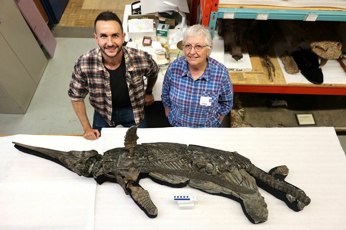 An der südenglischen Jurassic Coast entdeckten Forscher eine neue Meeressaurier-Art: den rund drei Meter langen „Schwertdrachen von Dorset“. ⇒afp