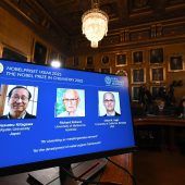 Chemie-Nobelpreis für neuartige Molekülarchitektur vergeben