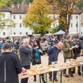 Obstbäume günstig ­beziehen