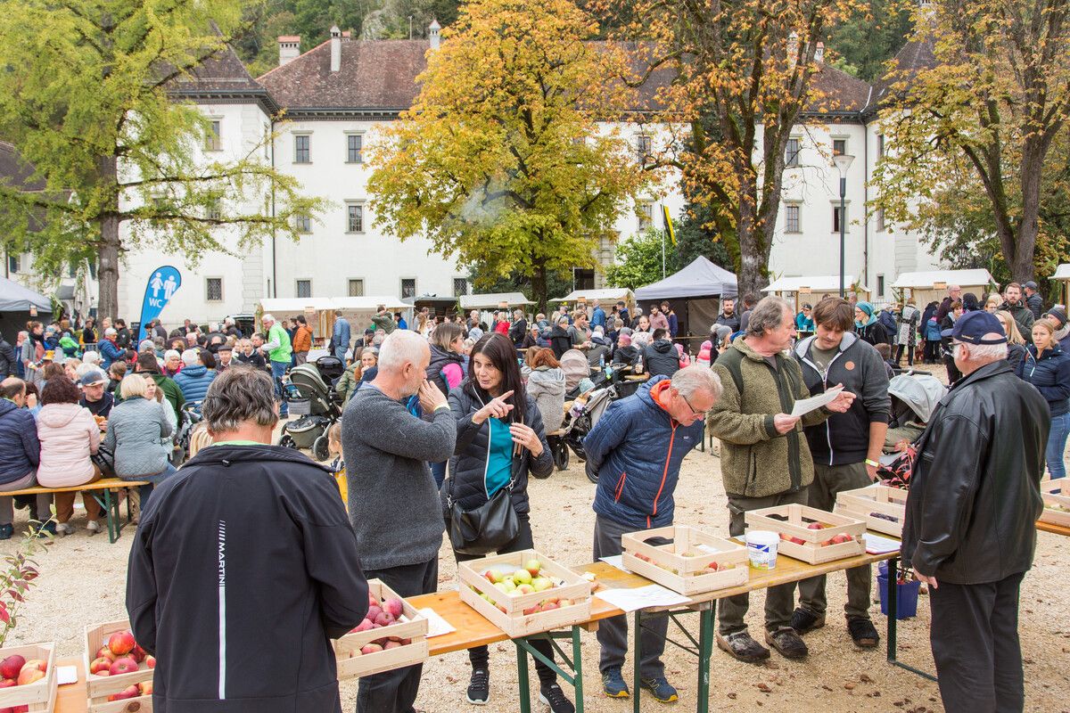 Beim Herbstmarkt kann man sich zum Thema Obstbäume beraten lassen. ⇒stadt hohenems