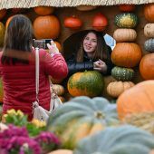 Bilder des Tages
