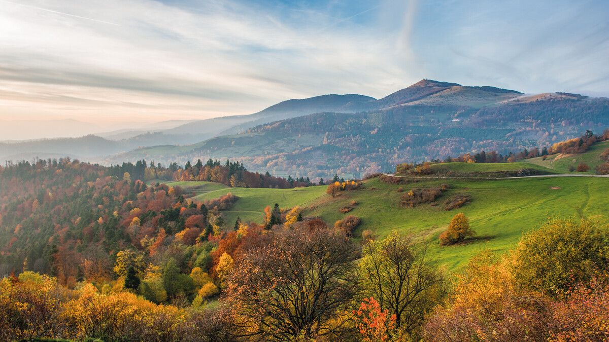Besonders schön ist der Blick auf den Grand Ballon, den höchsten Punkt der Strecke.