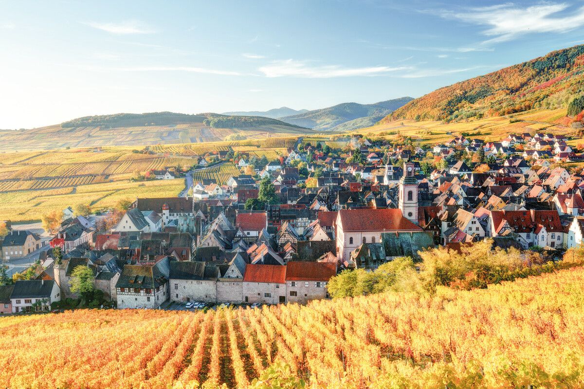 Blick auf Riquewihr: Das mittelalterliche Dorf liegt eingebettet in Weinberge am Rand der Vogesen. Shutterstock (alle)