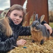 Ein Herz schlägt für Tiere und Musik