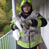 Flammen in Dachgeschoßwohnung