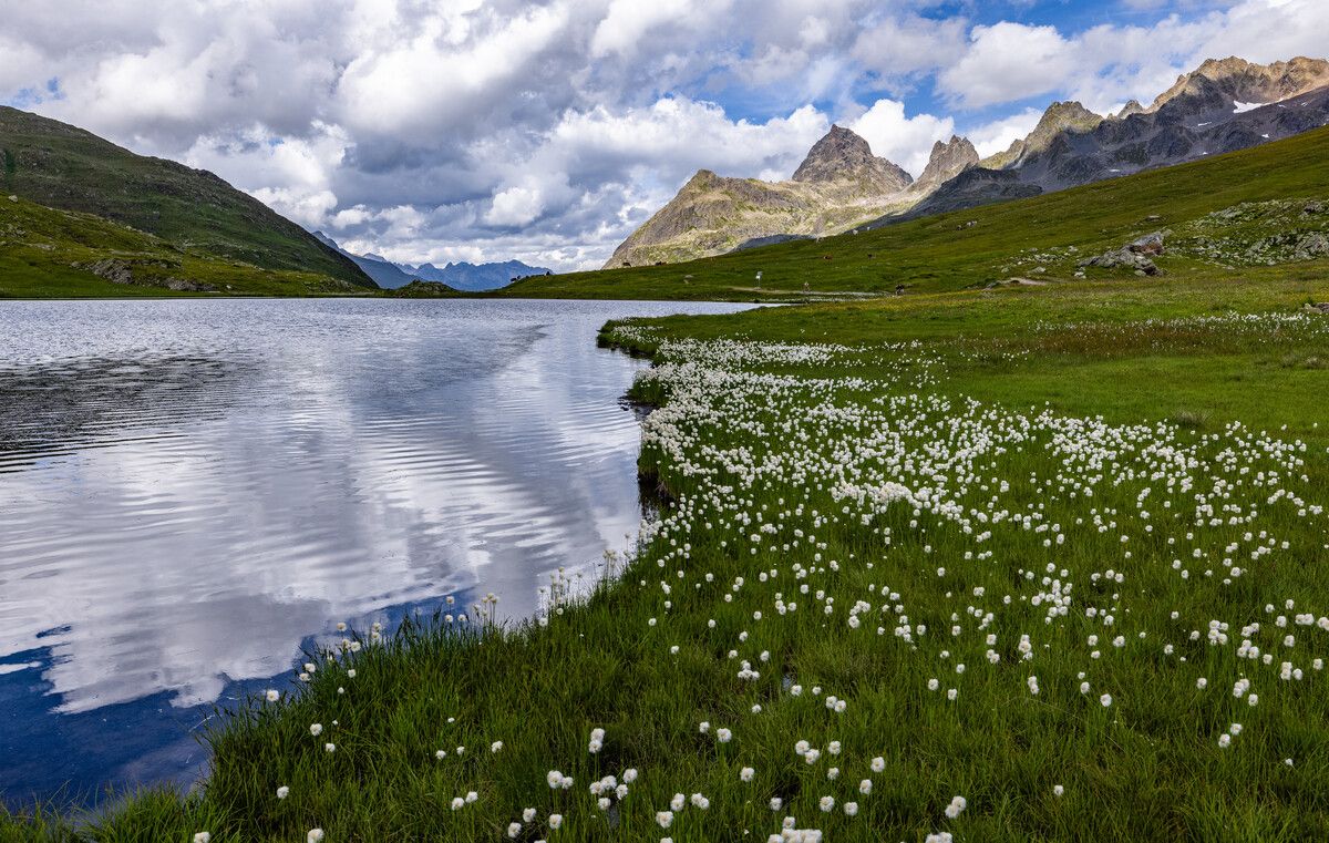 Die Scheidseen im Natura-2000-Gebiet Verwall liegen direkt an der Landesgrenze von Vorarlberg und Tirol sowie an der europäischen Wasserscheide.