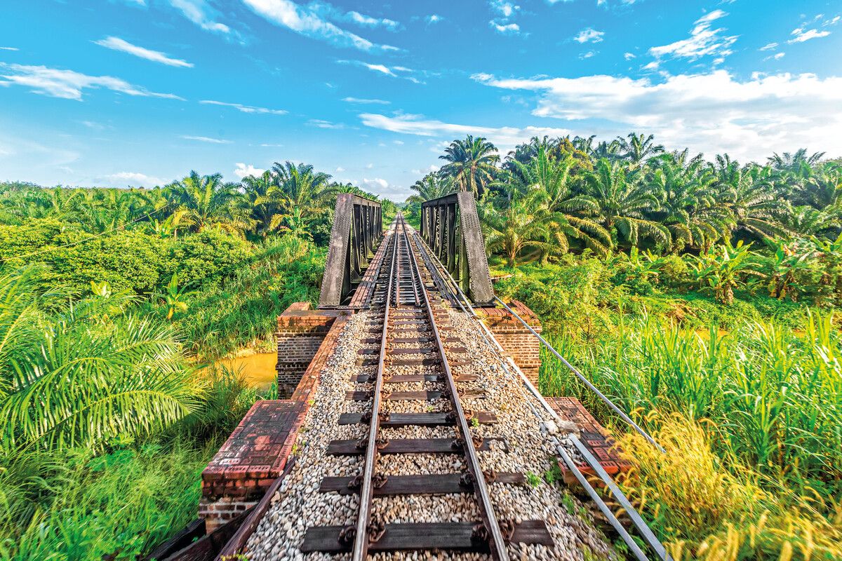 Die Schienen der Ostküstenlinie führen über schmale Brücken tief hinein in den malaysischen Dschungel. Shutterstock (alle)